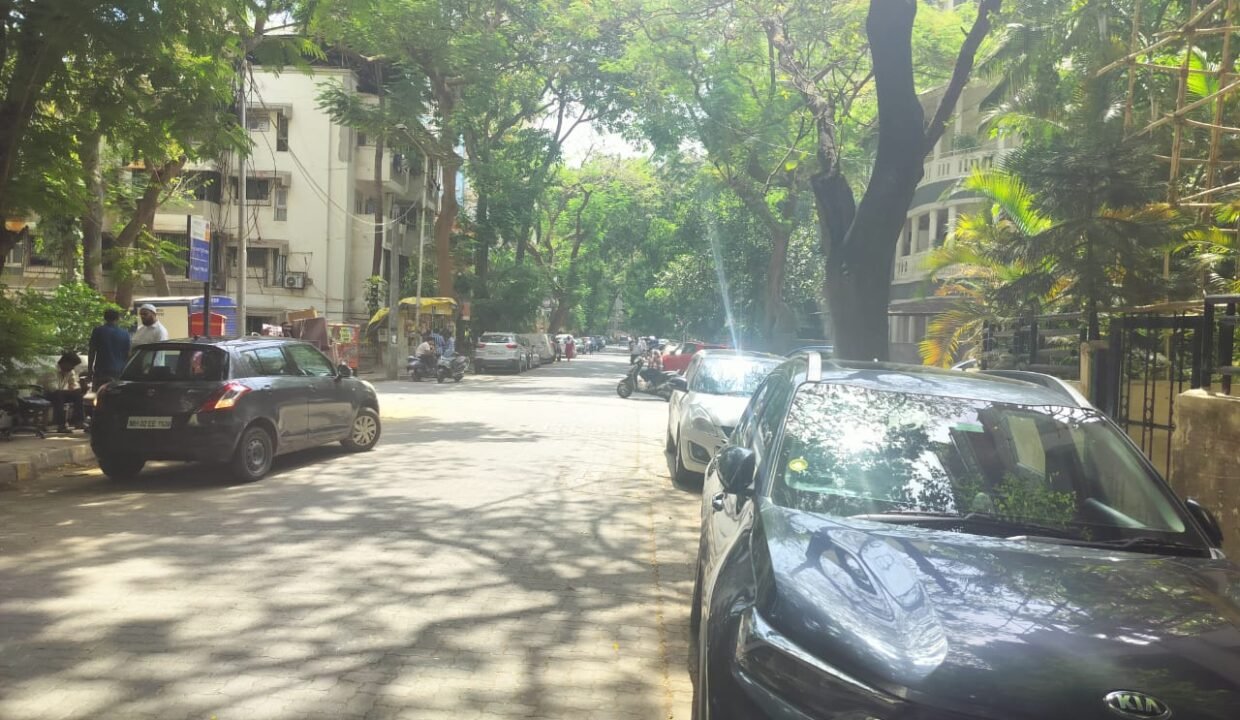 WhatsApp Image 2024-05-29 at 16.09.16 (1)